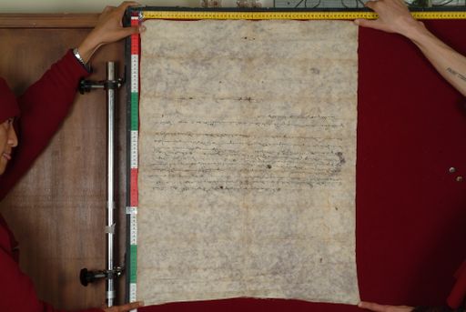 canvas: 1486b_LTWA_728