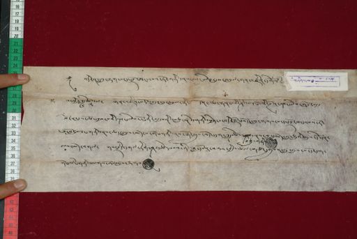 Library of Tibetan Works and Archives (LTWA) ID 3720 (1485_LTWA_727)