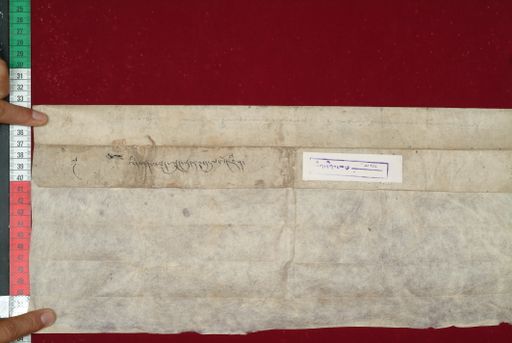 Library of Tibetan Works and Archives (LTWA) ID 3721 (1484_LTWA_726)