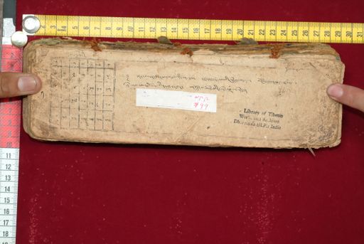 Library of Tibetan Works and Archives (LTWA) ID 3735 (1557_LTWA_799)