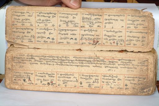 canvas: 1557d_LTWA_799