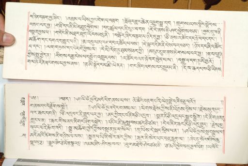 canvas: 1559ej_LTWA_800