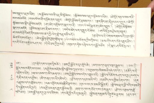 canvas: 1559bd_LTWA_800