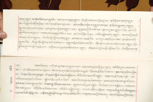 canvas: 1559af_LTWA_800