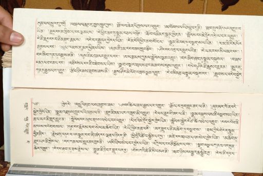 canvas: 1559fy_LTWA_800