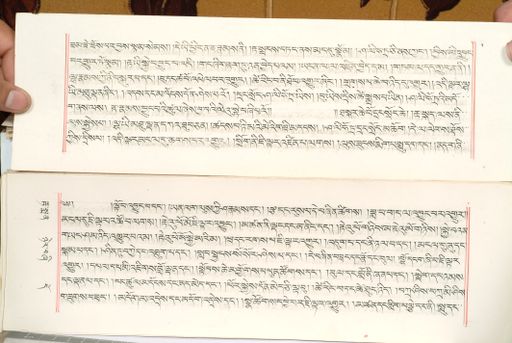 canvas: 1559y_LTWA_800