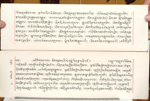 canvas: 1559cg_LTWA_800