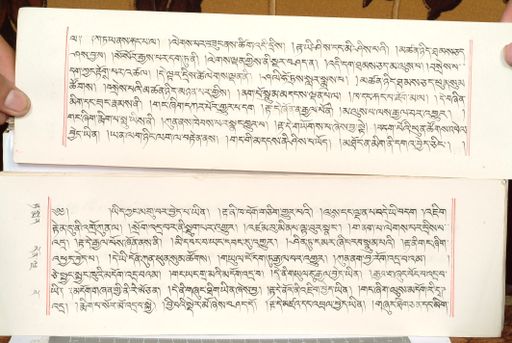 canvas: 1559by_LTWA_800