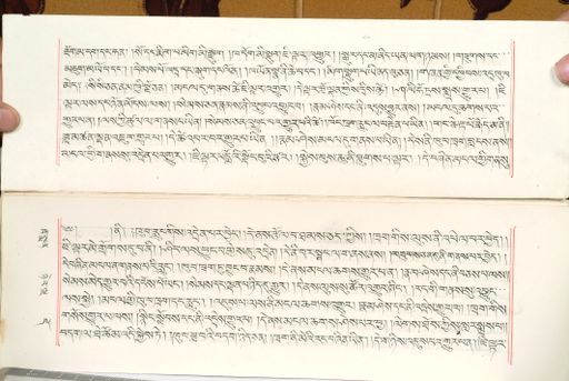 canvas: 1559z_LTWA_800