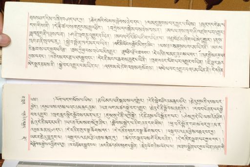 canvas: 1559eb_LTWA_800