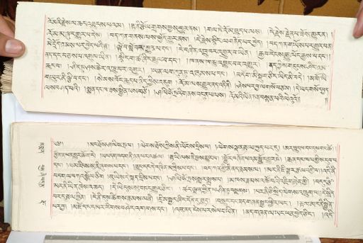 canvas: 1559ev_LTWA_800