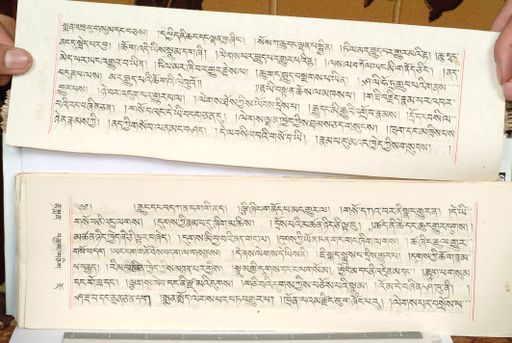 canvas: 1559ez_LTWA_800