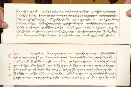 canvas: 1559cb_LTWA_800