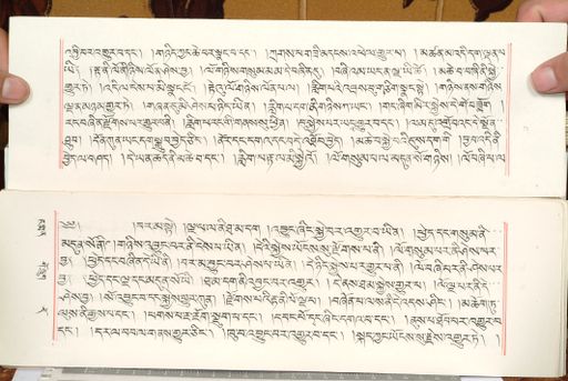 canvas: 1559ct_LTWA_800