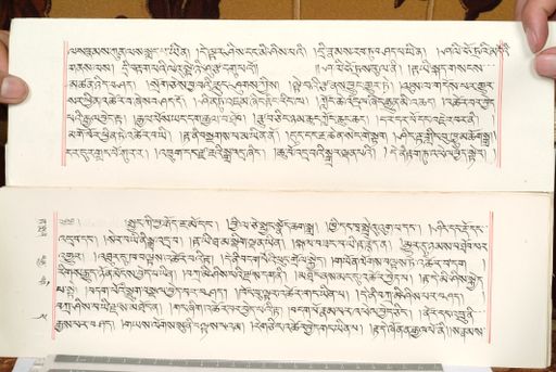 canvas: 1559db_LTWA_800