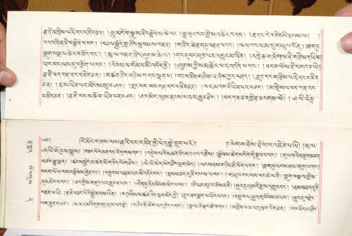 canvas: 1559ah_LTWA_800