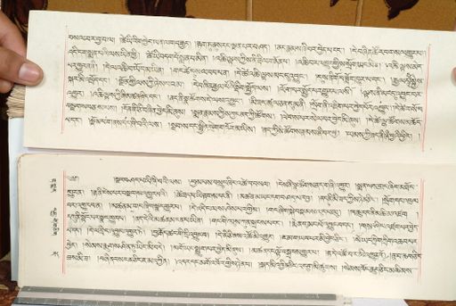 canvas: 1559gn_LTWA_800