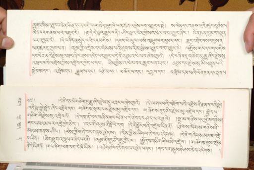 canvas: 1559df_LTWA_800