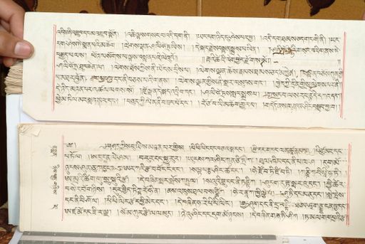 canvas: 1559gy_LTWA_800