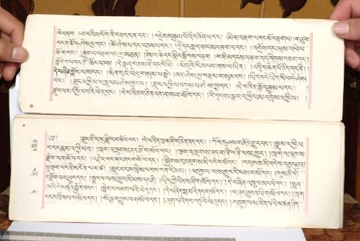 canvas: 1559d_LTWA_800