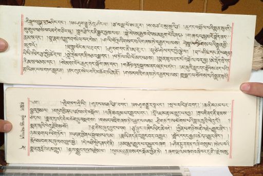 canvas: 1559ho_LTWA_800