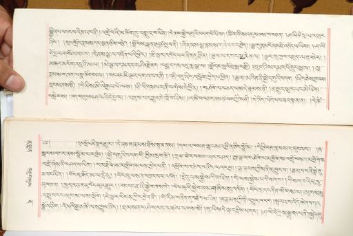 canvas: 1559n_LTWA_800