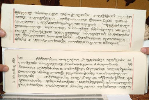 canvas: 1559hp_LTWA_800