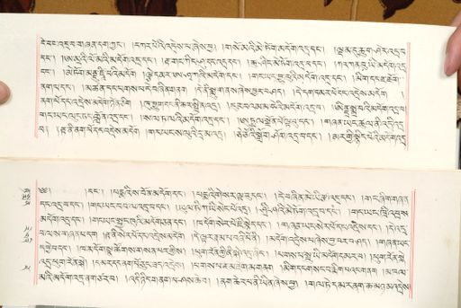 canvas: 1559bn_LTWA_800