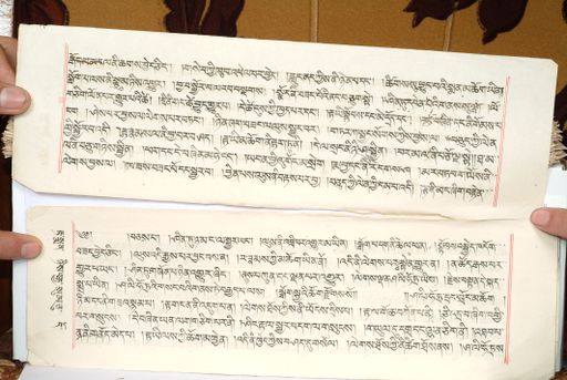 canvas: 1559ib_LTWA_800