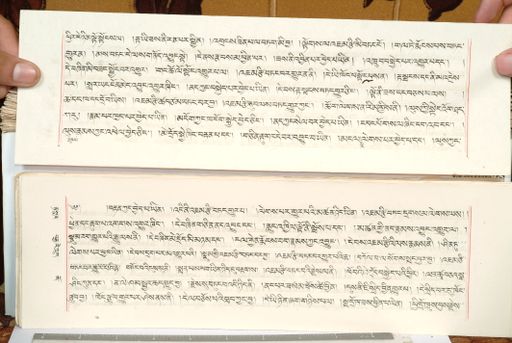 canvas: 1559fo_LTWA_800