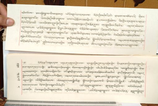 canvas: 1559gg_LTWA_800