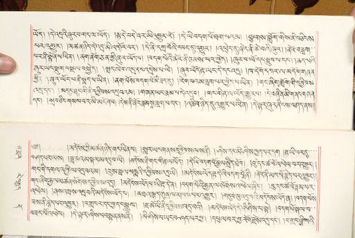 canvas: 1559br_LTWA_800