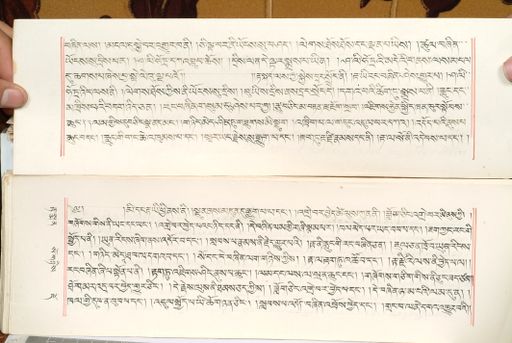 canvas: 1559ag_LTWA_800