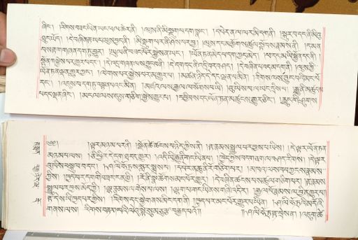 canvas: 1559dy_LTWA_800