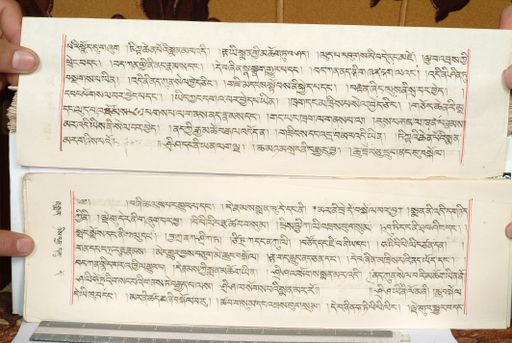 canvas: 1559hg_LTWA_800