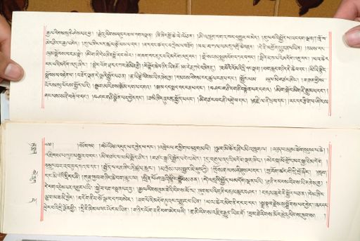 canvas: 1559ak_LTWA_800