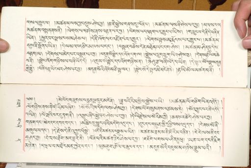 canvas: 1559cr_LTWA_800