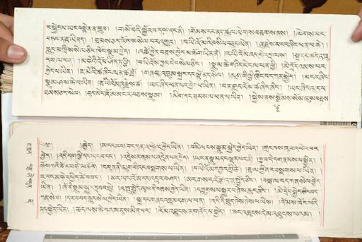 canvas: 1559eu_LTWA_800