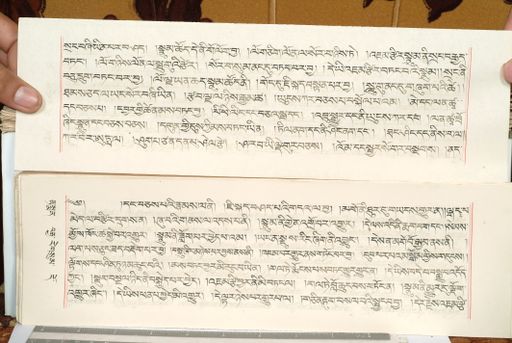 canvas: 1559fl_LTWA_800