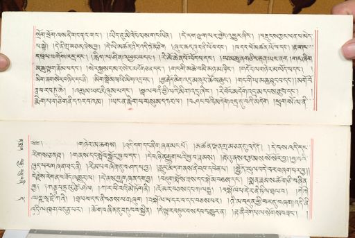 canvas: 1559dm_LTWA_800