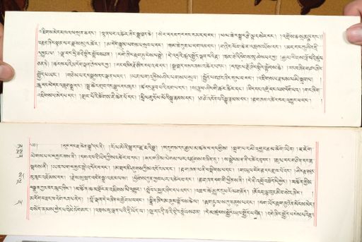 canvas: 1559aj_LTWA_800