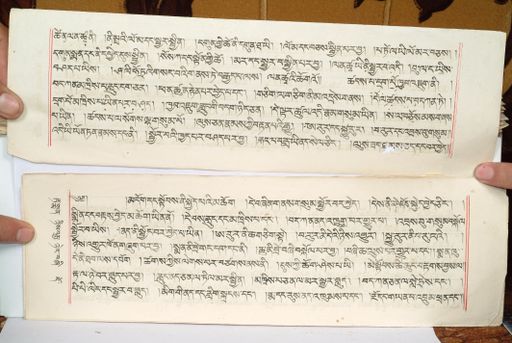 canvas: 1559hv_LTWA_800