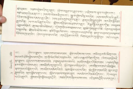 canvas: 1559ea_LTWA_800