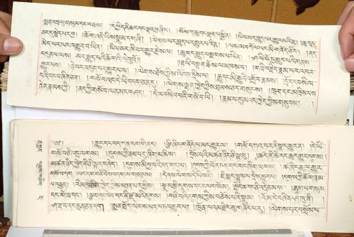 canvas: 1559ey_LTWA_800