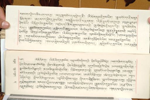 canvas: 1559fg_LTWA_800