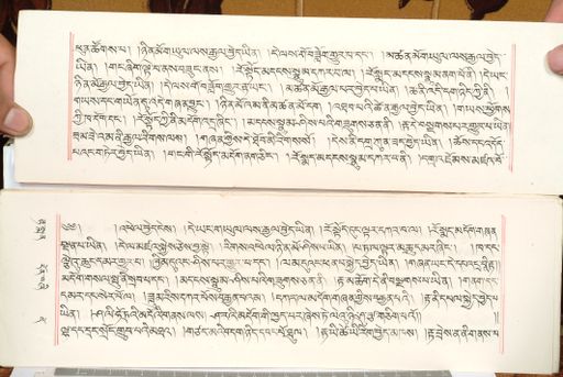 canvas: 1559bx_LTWA_800