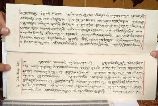 canvas: 1559hq_LTWA_800