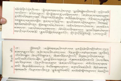 canvas: 1559ei_LTWA_800