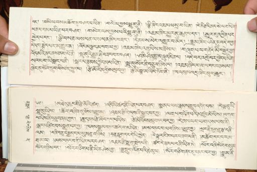 canvas: 1559fk_LTWA_800