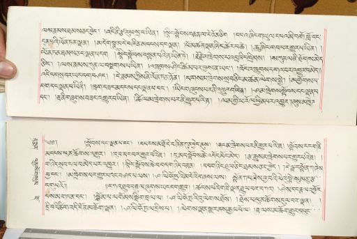 canvas: 1559eg_LTWA_800